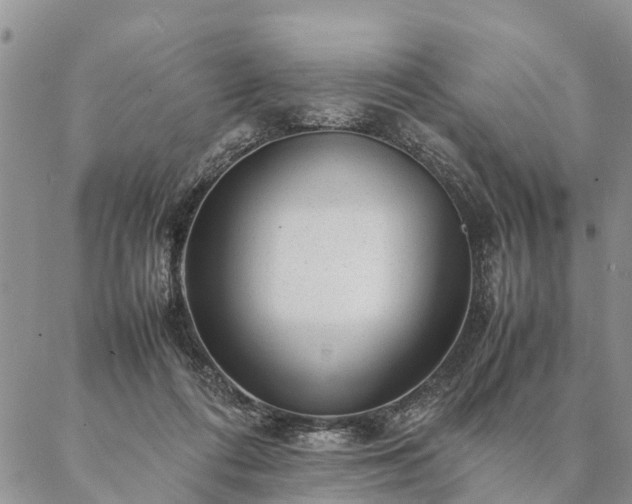 X0000087390312200704271629