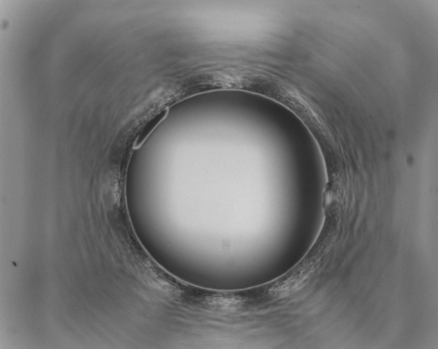 X0000087390313200704271629