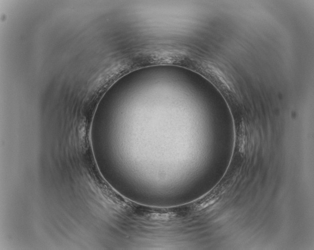 X0000087390314200704271629