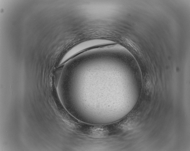 X0000087390315200704271629