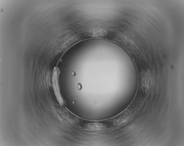 X0000087390316200704271629