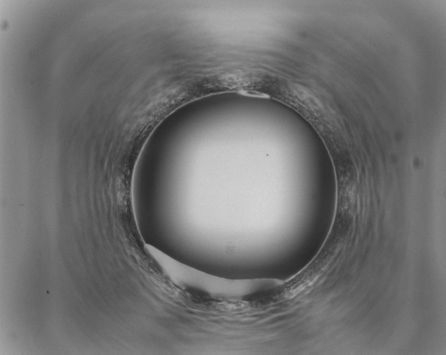 X0000087390317200704271629