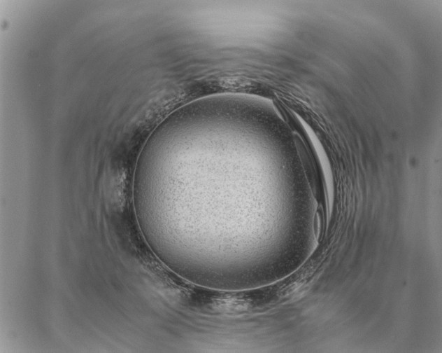 X0000087390319200704271629