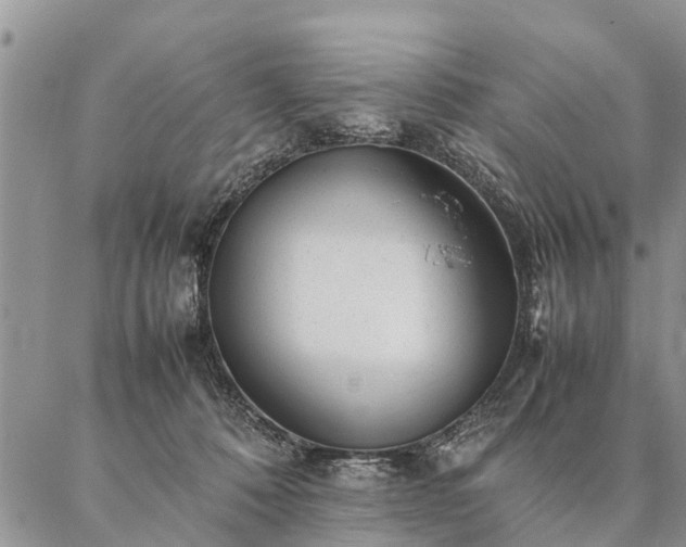 X0000087390320200704271629