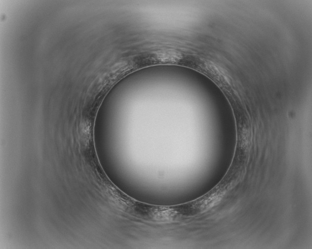 X0000087390321200704271628