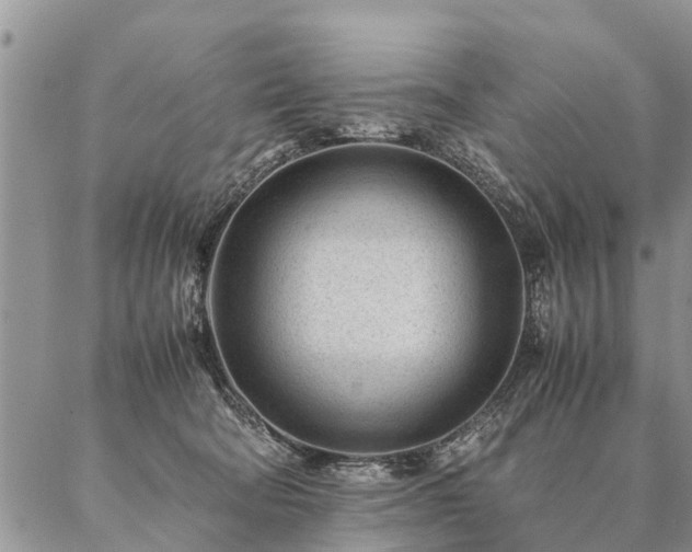 X0000087390322200704271628