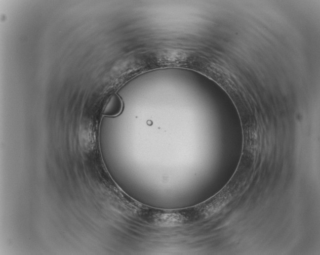 X0000087390324200704271628