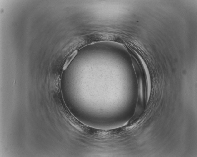 X0000087390325200704271628