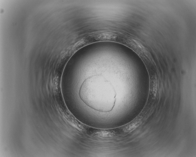 X0000087390326200704271628