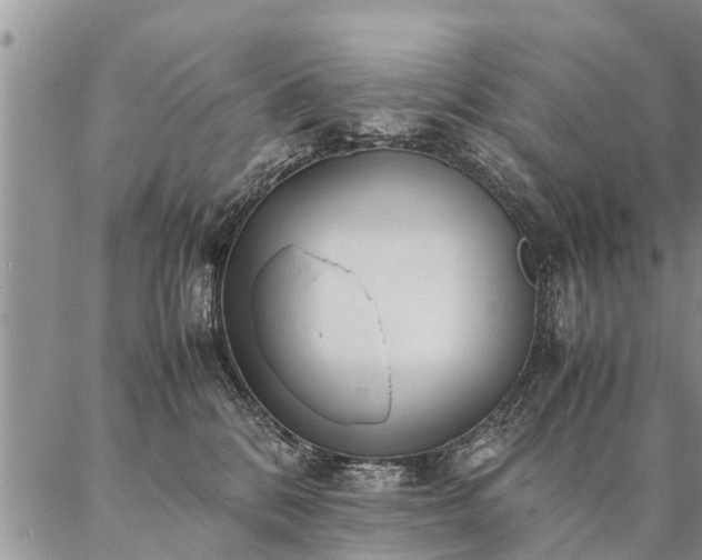 X0000087390328200704271628