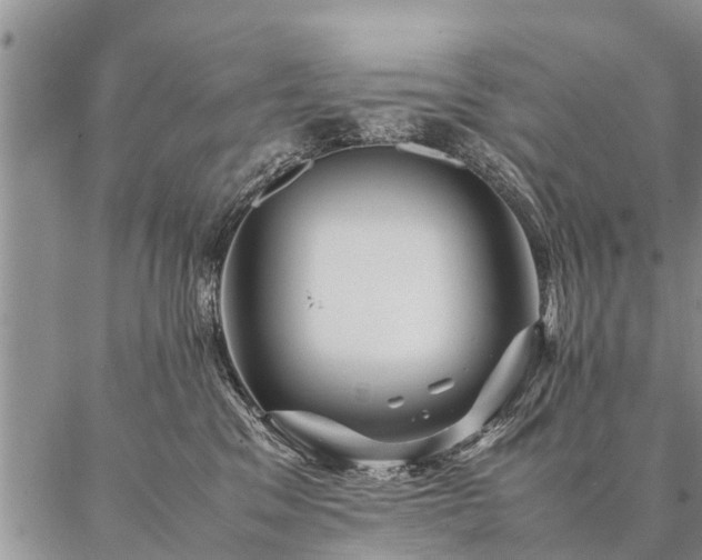 X0000087390329200704271628