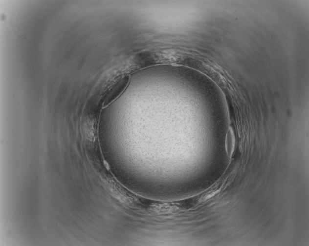 X0000087390331200704271628