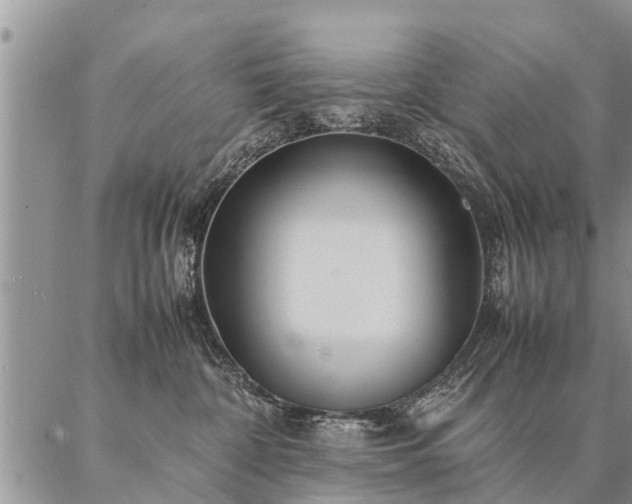 X0000087390332200704271628