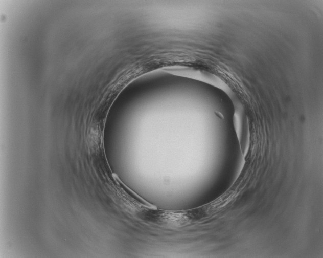 X0000087390333200704271628