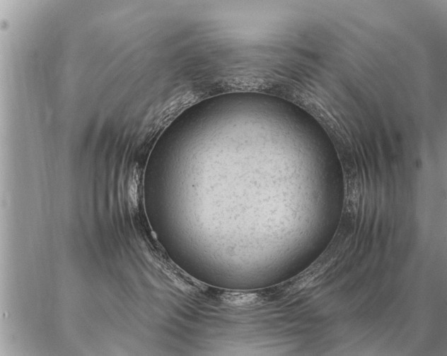 X0000087390334200704271628