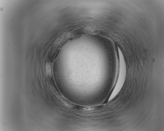 X0000087390335200704271628