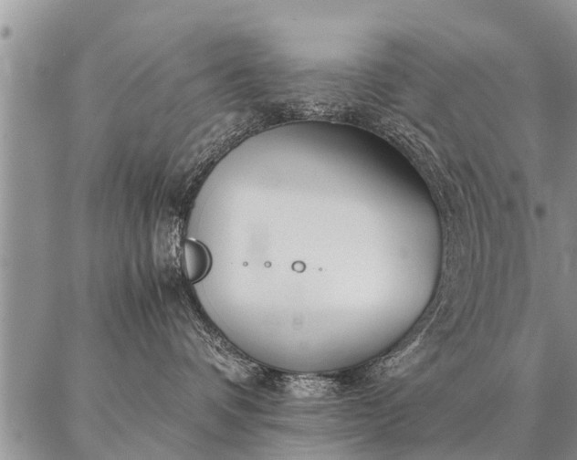 X0000087390336200704271628