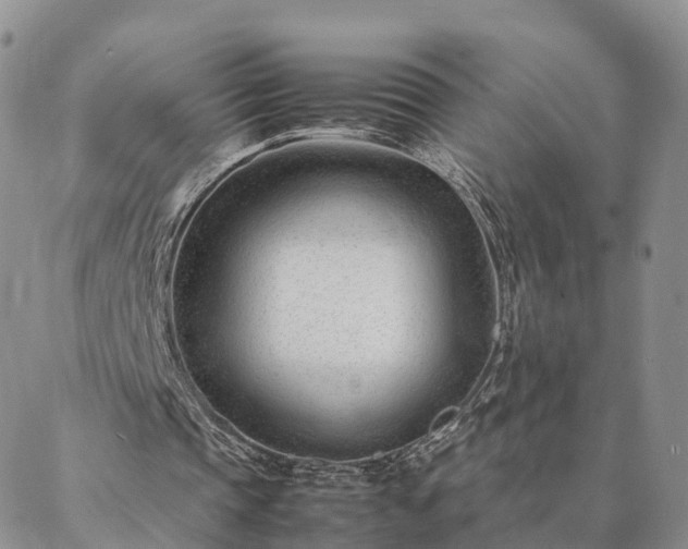 X0000087390337200704271627