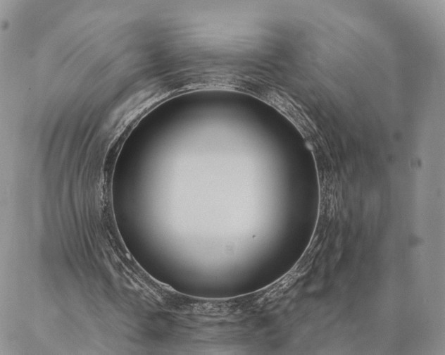 X0000087390338200704271627