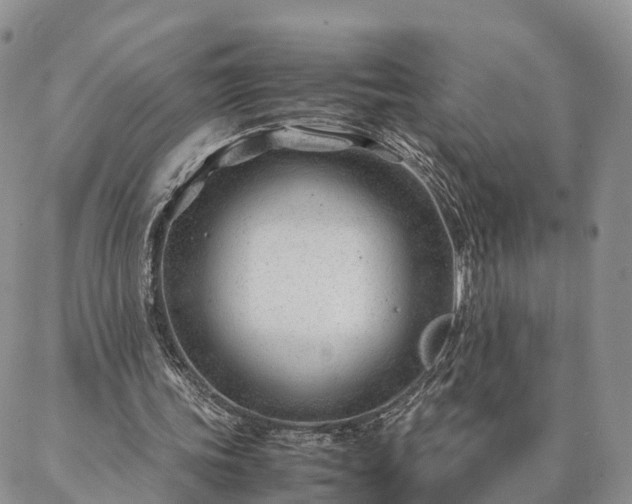 X0000087390339200704271628