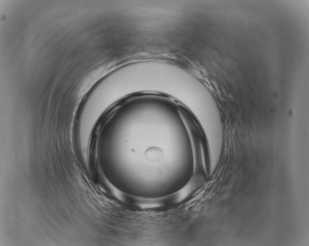 X0000087390340200704271628