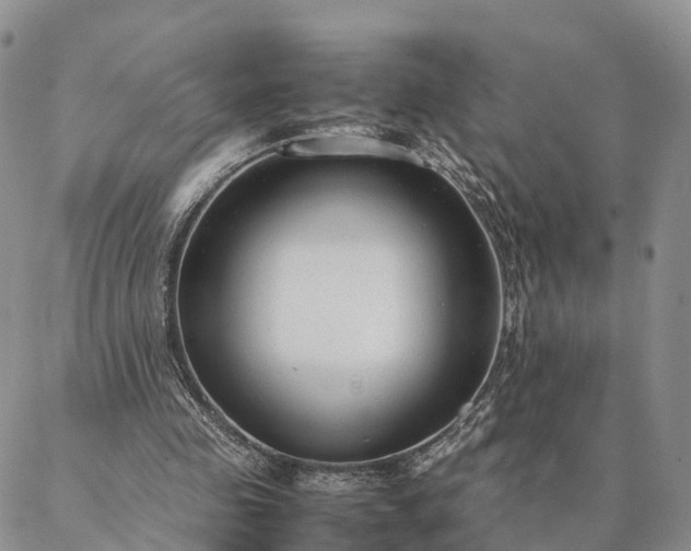 X0000087390341200704271628