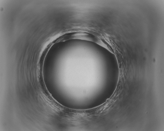 X0000087390342200704271628