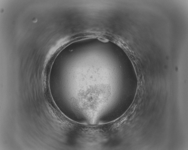 X0000087390343200704271628