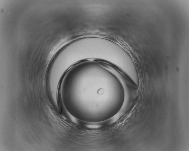 X0000087390344200704271628