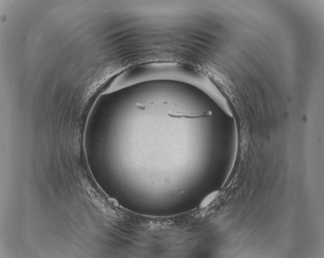 X0000087390345200704271628