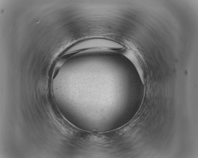 X0000087390346200704271628