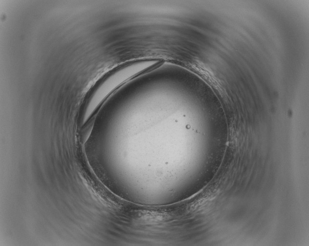 X0000087390347200704271628