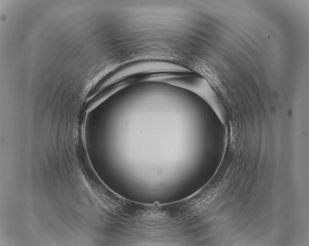 X0000087390348200704271628