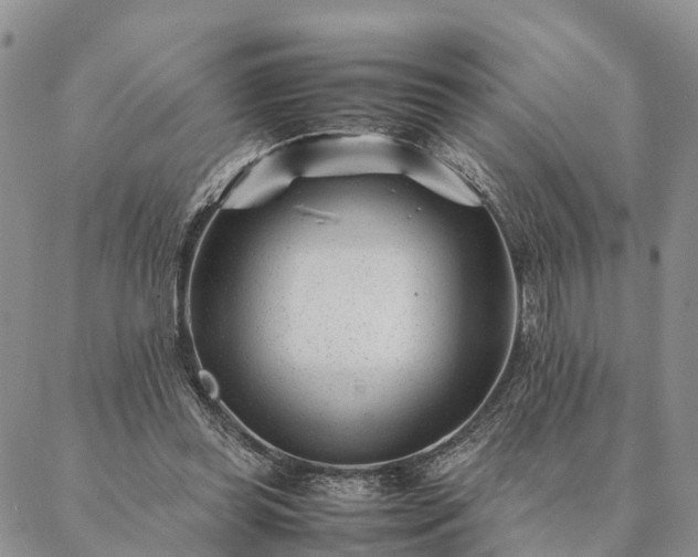 X0000087390349200704271628