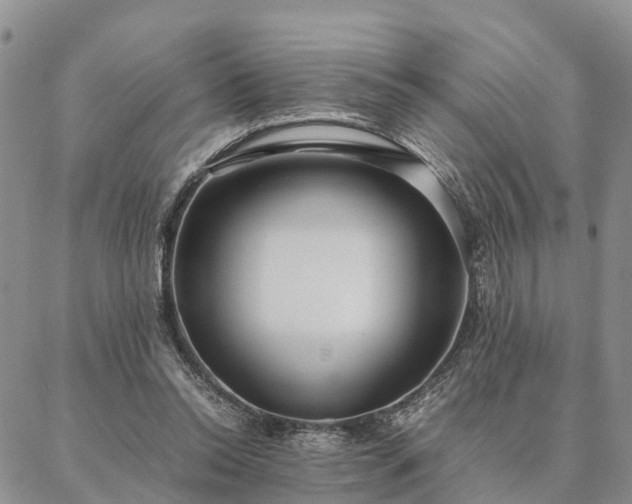 X0000087390350200704271628