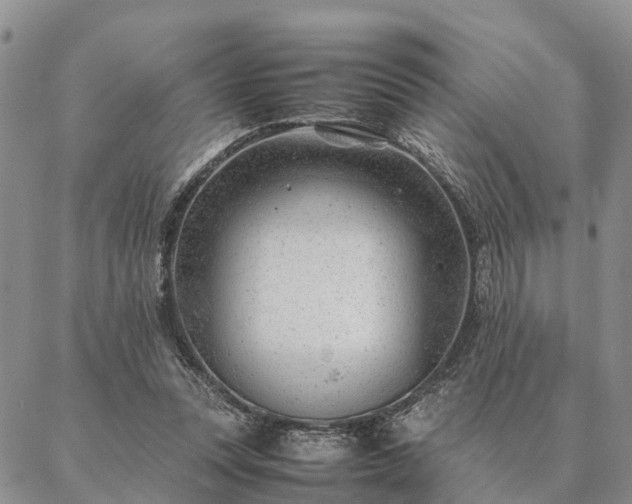 X0000087390351200704271628