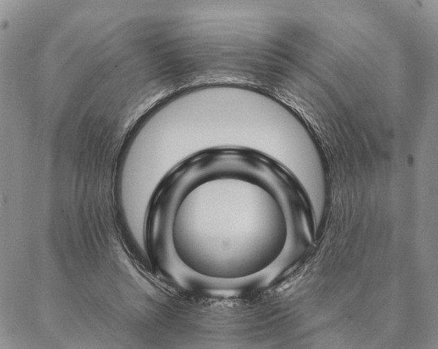 X0000087390352200704271628