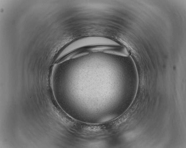 X0000087390353200704271628