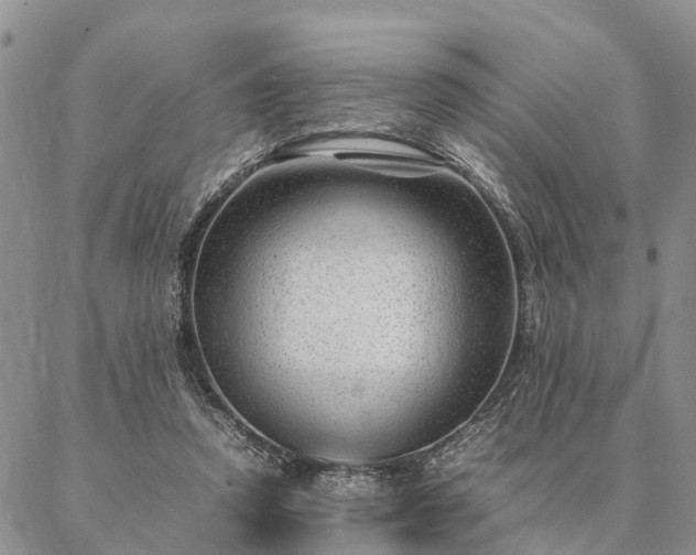 X0000087390354200704271628