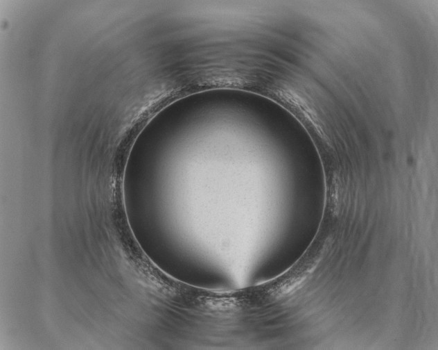 X0000087390355200704271628