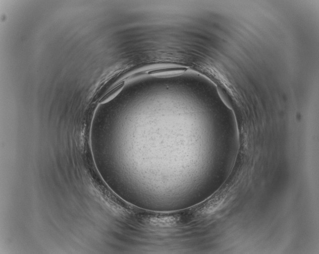 X0000087390357200704271628