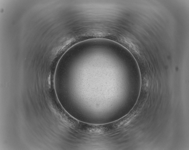 X0000087390358200704271628