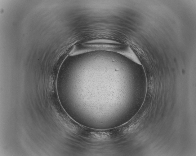 X0000087390359200704271628