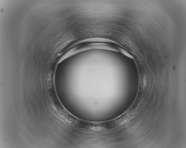 X0000087390360200704271628