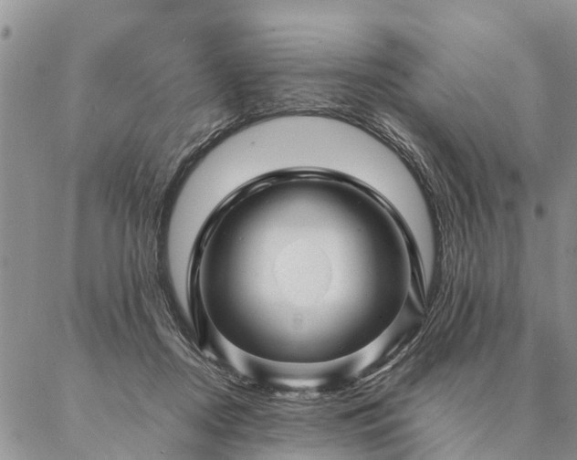 X0000087390362200704271628