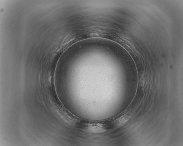 X0000087390363200704271628