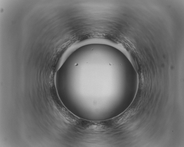 X0000087390364200704271628