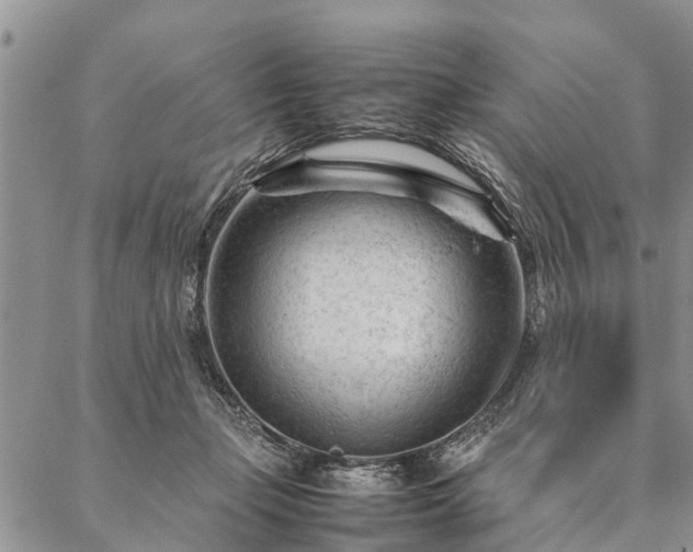 X0000087390365200704271628