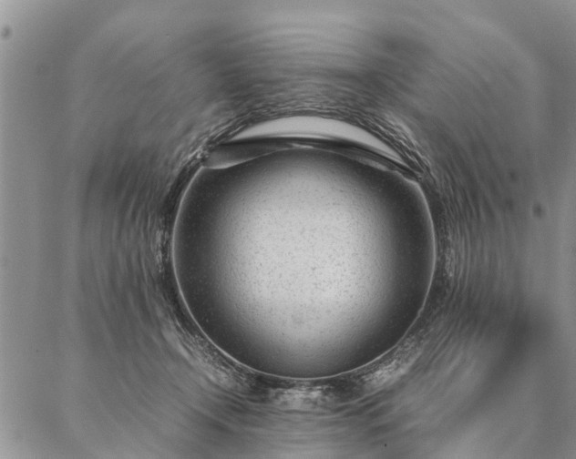 X0000087390366200704271628