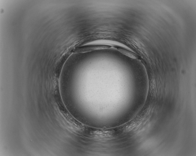 X0000087390367200704271628